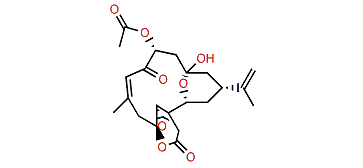 Sinulerectol A